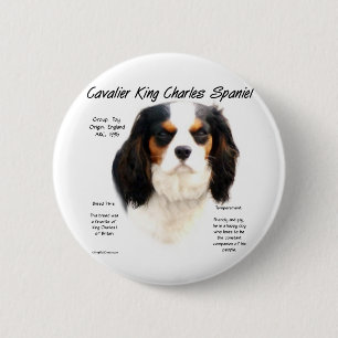 Cavalier King Charles Spaniel (Tricolor) Geschicht Button