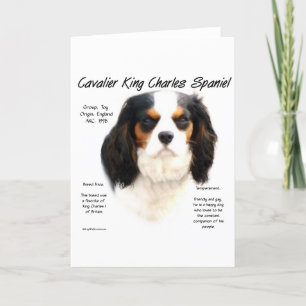 Cavalier King Charles Spaniel (Tricolor) Geschicht Feiertagskarte