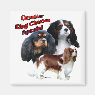 Cavalier King Charles Spaniel Trio 2 - Magnet