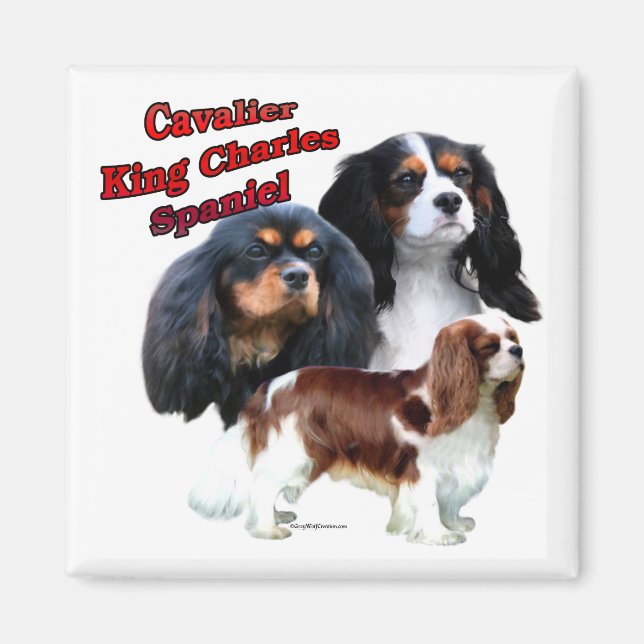 Cavalier King Charles Spaniel Trio 2 - Magnet (Vorne)