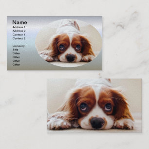Cavalier King Charles Spaniel Visitenkarte