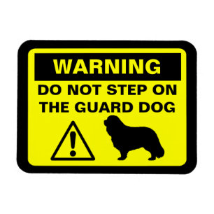 Cavalier King Charles Spaniel Wachhund Warnung Magnet