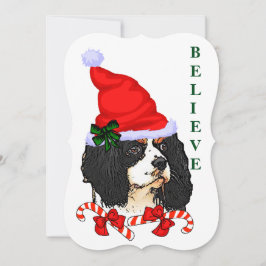 Cavalier King Charles Spaniel Weihnachten