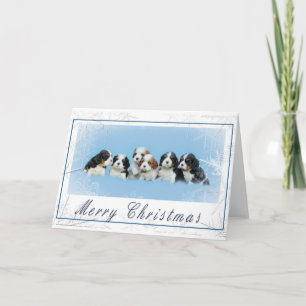 Cavalier King Charles Spaniel Weihnachten