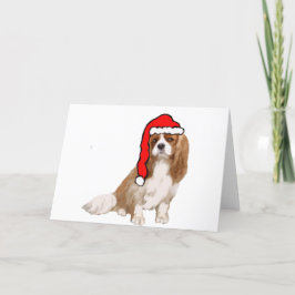 Cavalier King Charles Spaniel Weihnachten