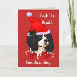 Cavalier King Charles Spaniel Weihnachten