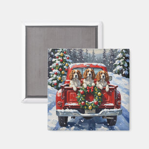 Cavalier King Charles Spaniel Weihnachten Rotes La Magnet