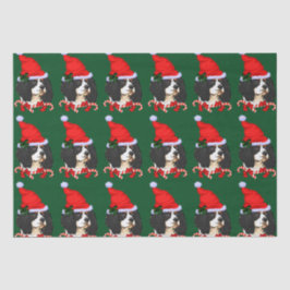 Cavalier King Charles Spaniel Weihnachten Seidenpapier