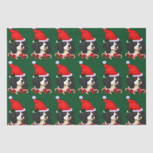 Cavalier King Charles Spaniel Weihnachten Seidenpapier