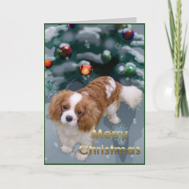 Cavalier King Charles Spaniel Weihnachtsgeschenke Feiertagskarte