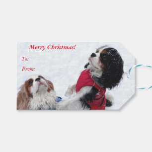 Cavalier King Charles Spaniel Weihnachtsgeschenke  Geschenkanhänger