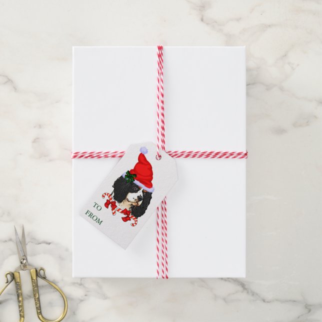 Cavalier King Charles Spaniel Weihnachtsgeschenke  Geschenkanhänger (Mit Garn)