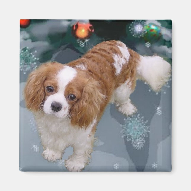 Cavalier King Charles Spaniel Weihnachtsgeschenke Magnet (Vorne)