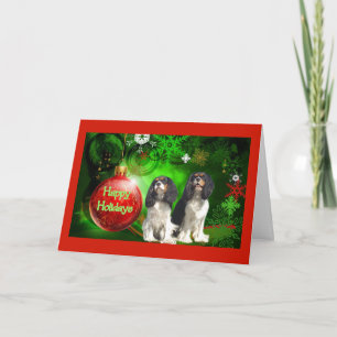 Cavalier King Charles Spaniel Weihnachtskarte Red  Feiertagskarte