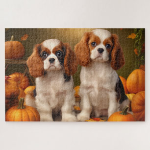 Cavalier King Charles Spaniel Welpe Herbst Kürbis