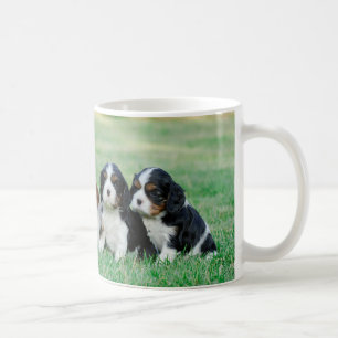 Cavalier King Charles Spaniel Welpen Kaffeetasse