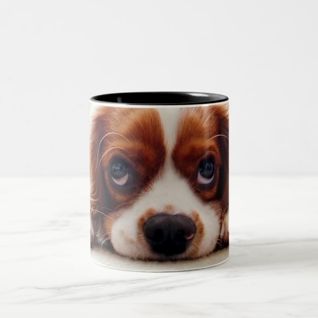Cavalier King Charles Spaniel Zweifarbige Tasse (Mittel)