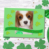 Cavalier King Charles Spaniels St. Patrick's Day