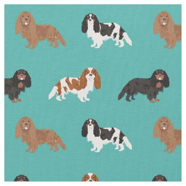 Cavalier King Charles Spanisch Türkis Stoff (Nahaufnahme)