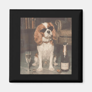 Cavalier King Charles trinkt Champagner Lustig Magnet