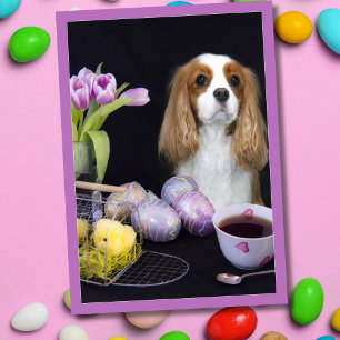 Cavalier King Charles Tulips Pâques Carte OEufs
