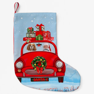 Cavalier King Dog in Auto mit dem Weihnachtsmann Kleiner Weihnachtsstrumpf