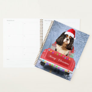 Cavalier King in Snow sitzend im Weihnachtswagen Planer