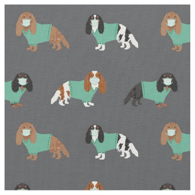 Cavalier König Charles Spaniel in der Holzkohle Stoff (Nahaufnahme)