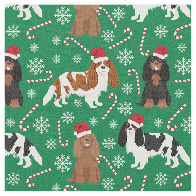 Cavalier König Charles Spaniel Zuckerrohrgrün Stoff (Nahaufnahme)