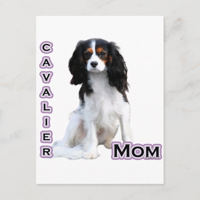 Cavalier Mama 4 Postkarte (Vorderseite)