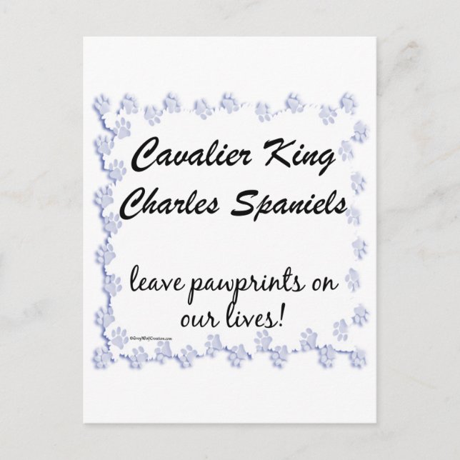 Cavalier Pawprints Postkarte (Vorderseite)