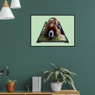 Cavalier Sooky Face Spaniel, Poster