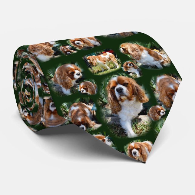 Cavalier Spaniel Foto Collage, Neck Tie Krawatte (Gerollt)