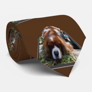 Cavalier Spaniel Popout Art, Cravate