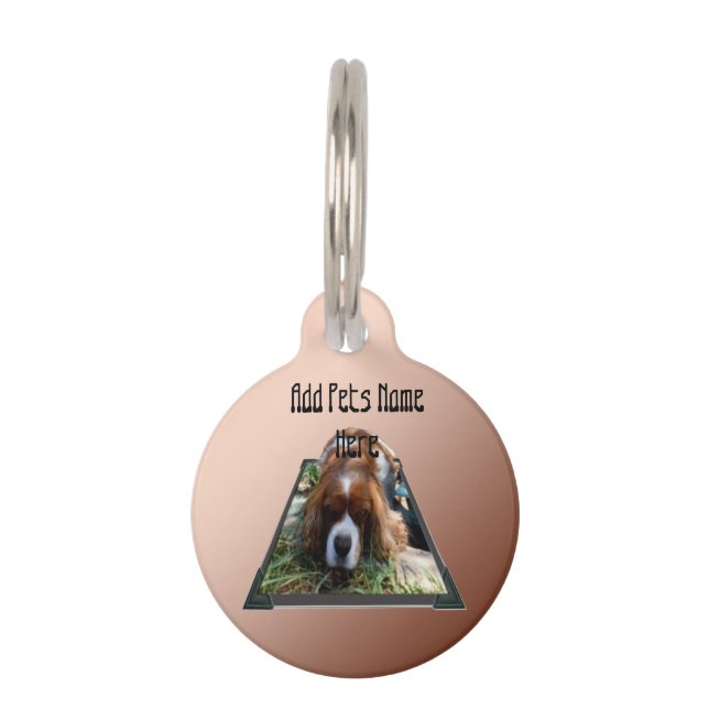 Cavalier Spaniel Popout Art, Haustiermarke (Vorderseite)