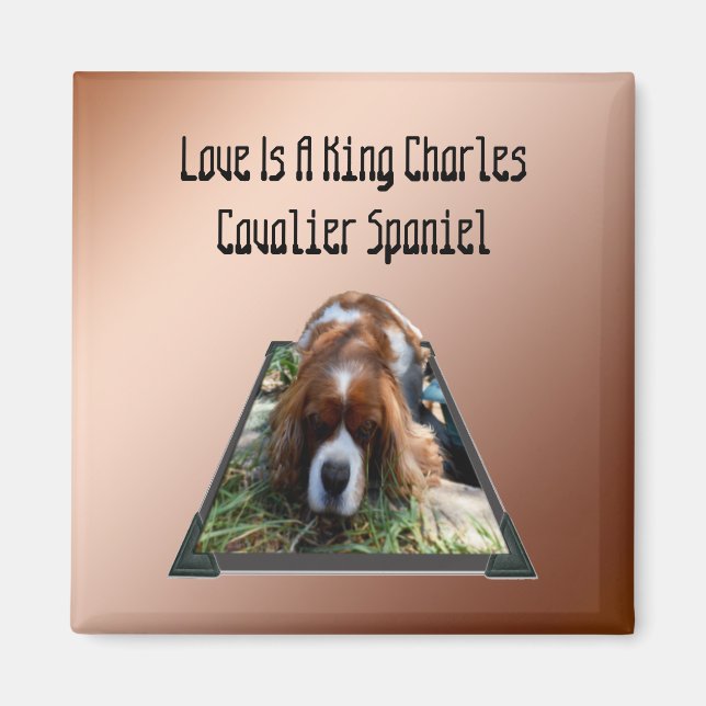 Cavalier Spaniel Popout Art, Kühlschrankmagnet (Vorne)
