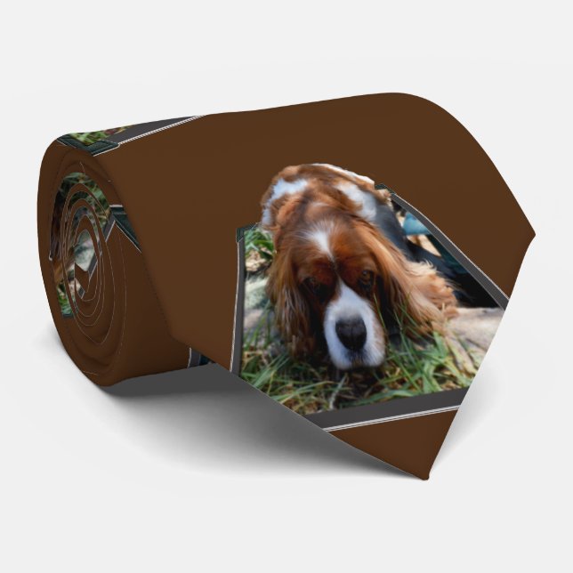 Cavalier Spaniel Popout Art, Neck Tie Krawatte (Gerollt)