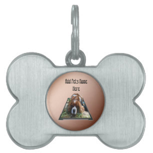 Cavalier Spaniel Popout Art, Tiermarke