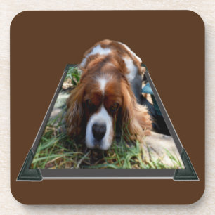 Cavalier Spaniel Popout Art, Untersetzer