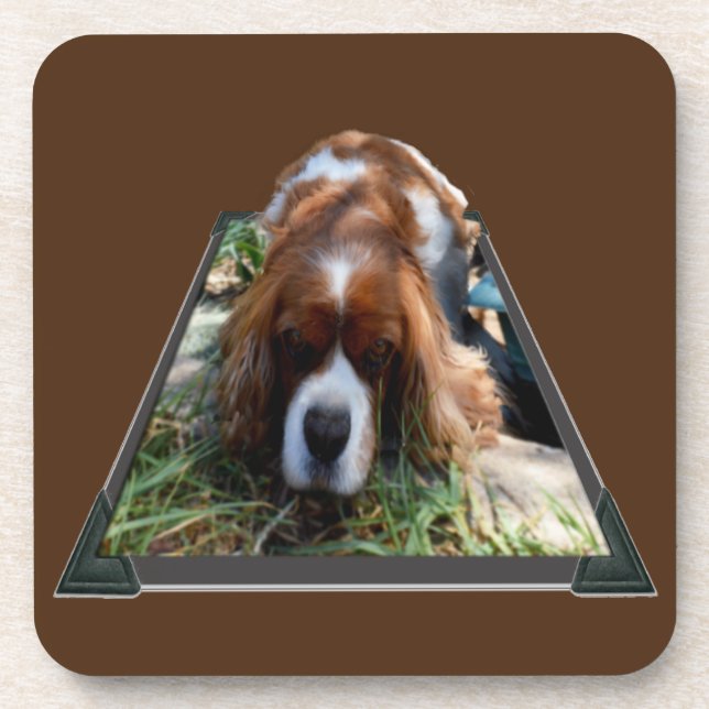 Cavalier Spaniel Popout Art, Untersetzer (Vorderseite)