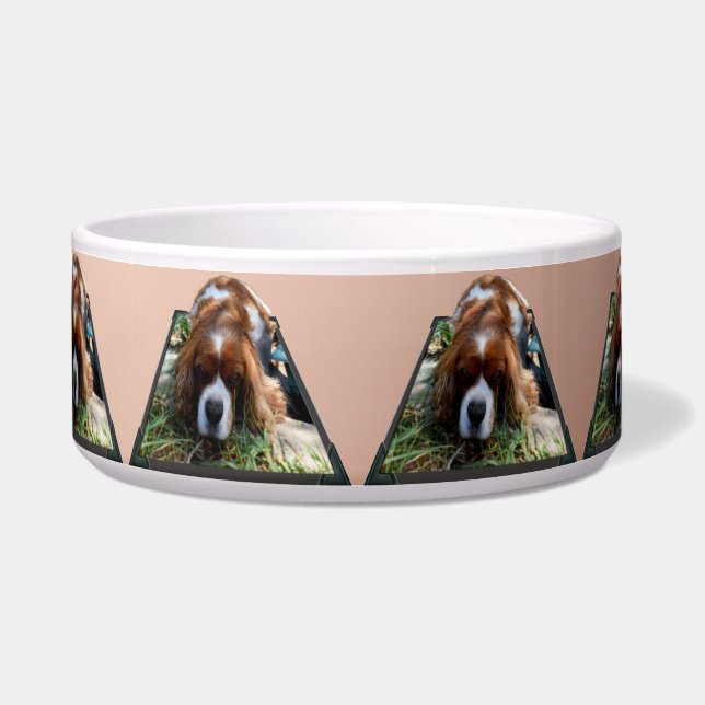 Cavalier Spaniel Popout Kunst,  Napf (Vorderseite)