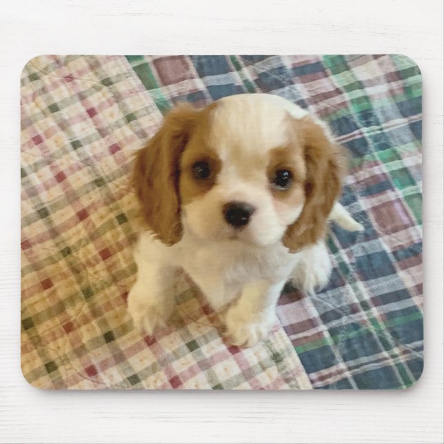 Cavalier Spaniel Puppy Mousepad (Vorne)