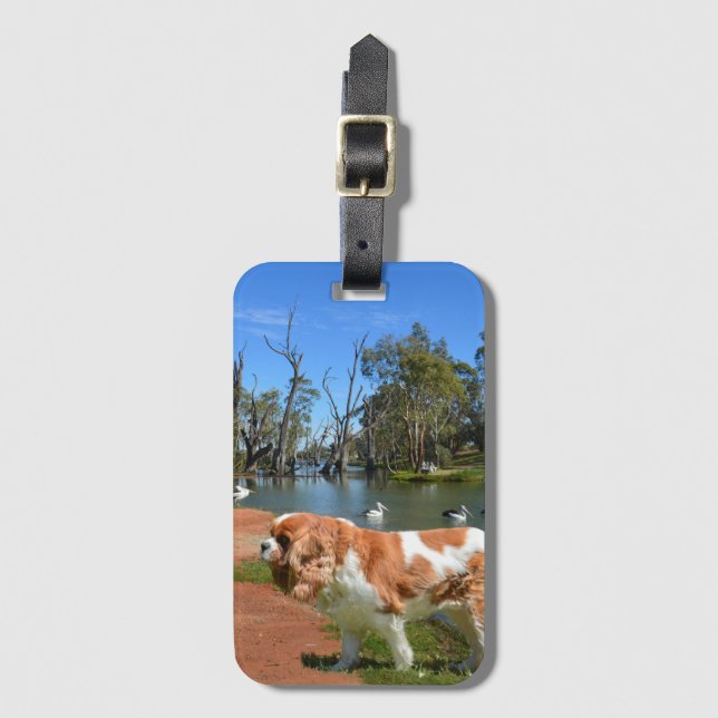 Cavalier Spaniel und Pelikane, Gepäckanhänger (Vorderseite Vertikal)