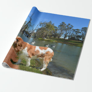 Cavalier Spaniel und Pelikane, Geschenkpapier