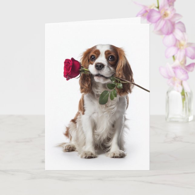 Cavalier Spaniel Valentinstag Karte (Orchidee)