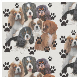 Cavalier Spaniels Gruppenporträt Stoff