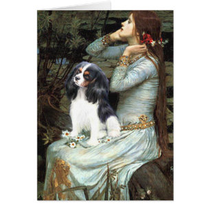 Cavalier (Tri6) - Ophelia sitzend