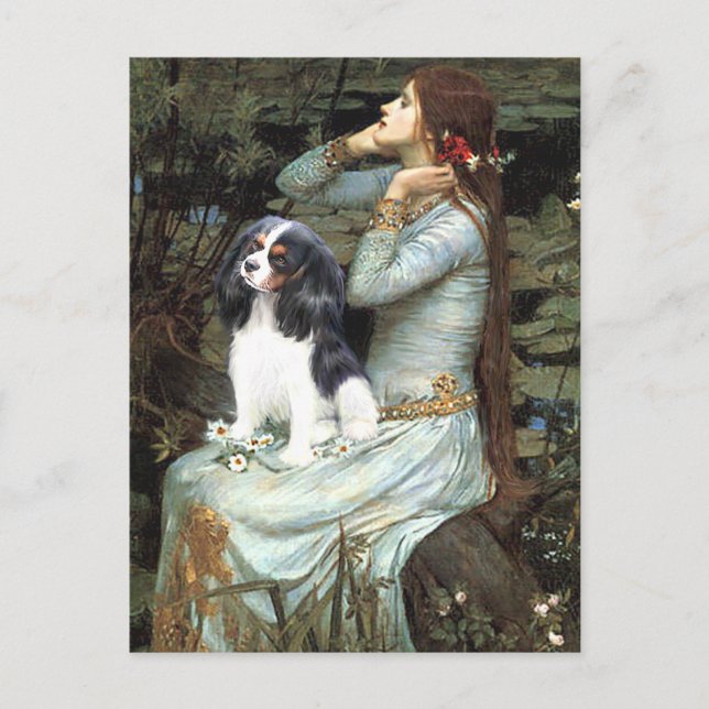 Cavalier (Tri6) - Ophelia sitzend Postkarte (Vorderseite)
