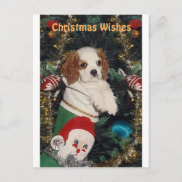 Cavalier Welpe in Weihnachten Strumpf