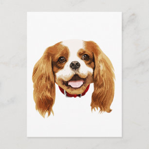 CavalierKingCharlesSpaniel_Epagneul face002 Postkarte